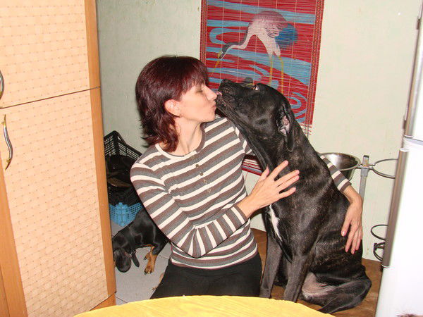 Здесь Только Я