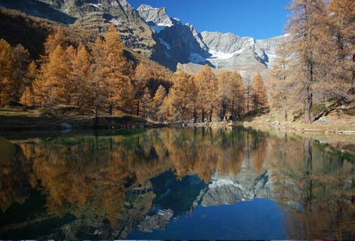 Киём Химаев