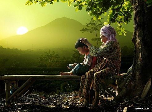 Алекс Алекс