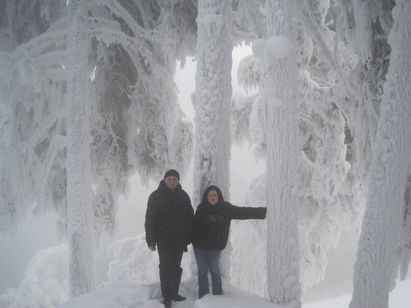 Наталья Каржанова