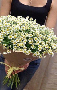 Арина Тимофеева