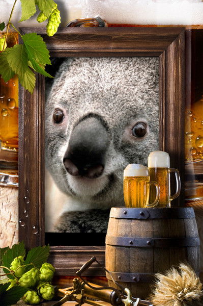 Виктор Поночевный