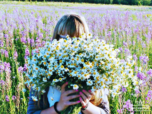 Юлия Алексеева