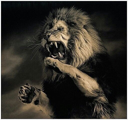 Андрей Анферов