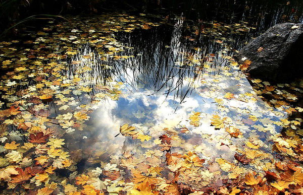 Отражение Неба