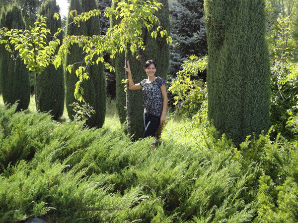 Неизвестно Неизвестно