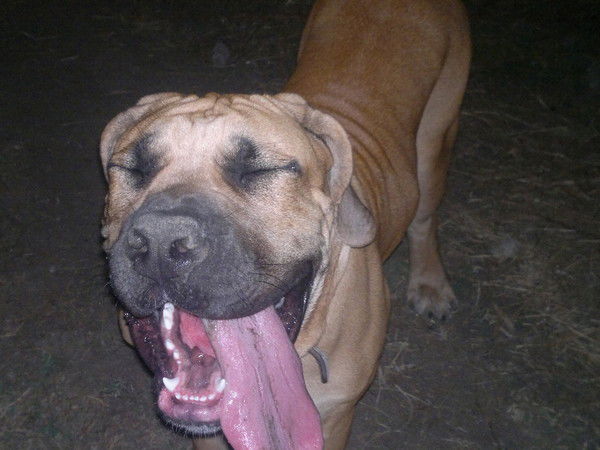 Вадим Солкин