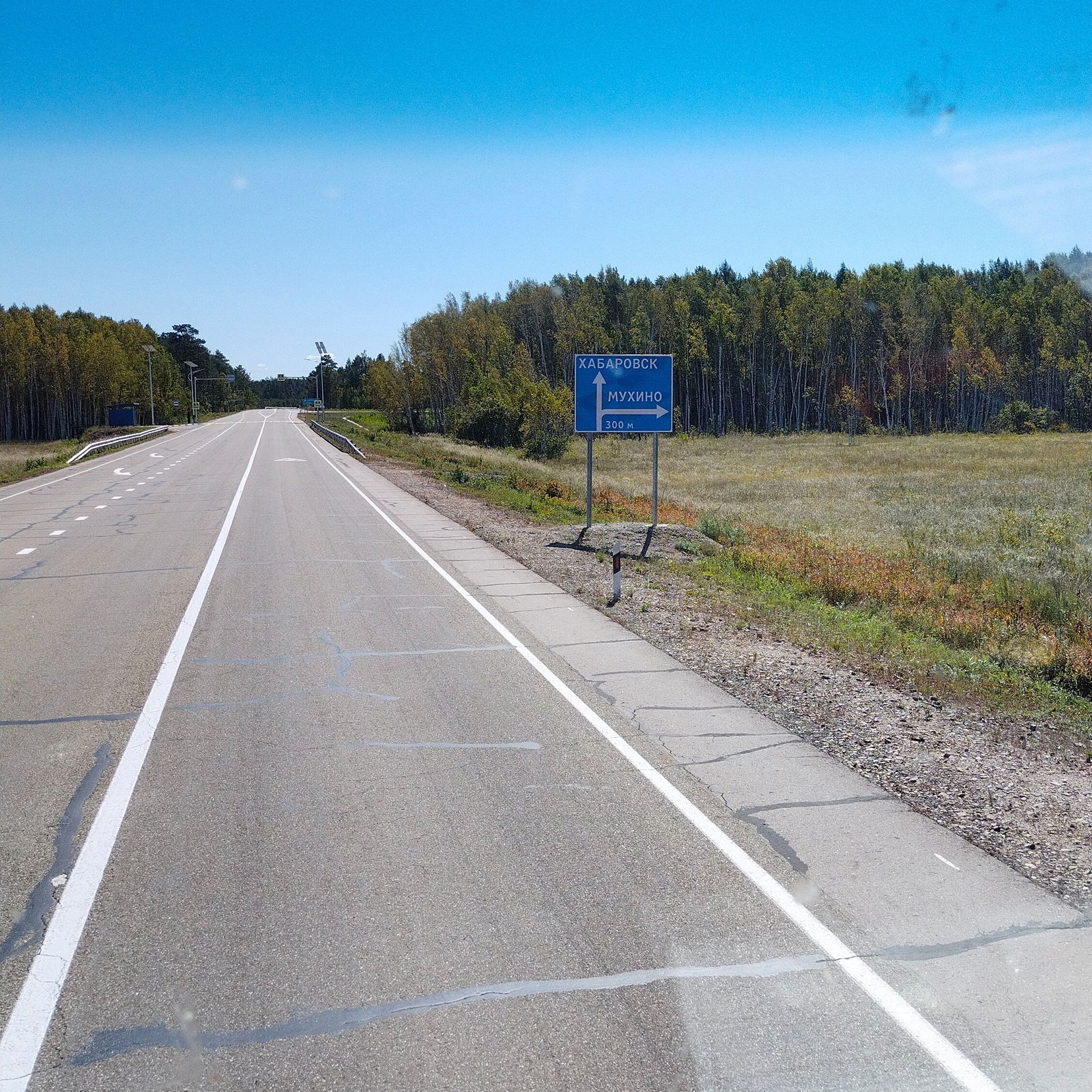 Анзор Добриев