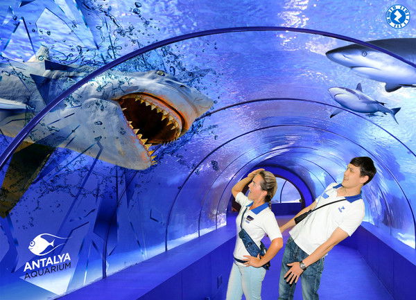 Кайрат Шамырбеков