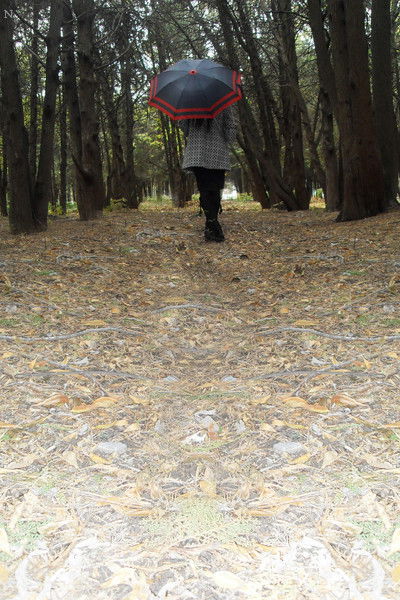 Элес Урматбеков