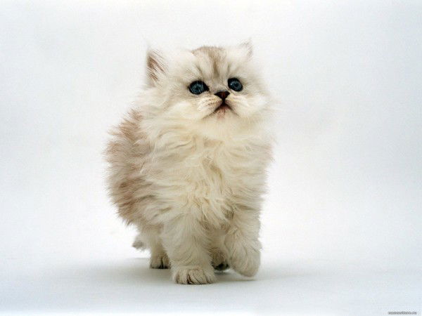 Татьяна Куликова