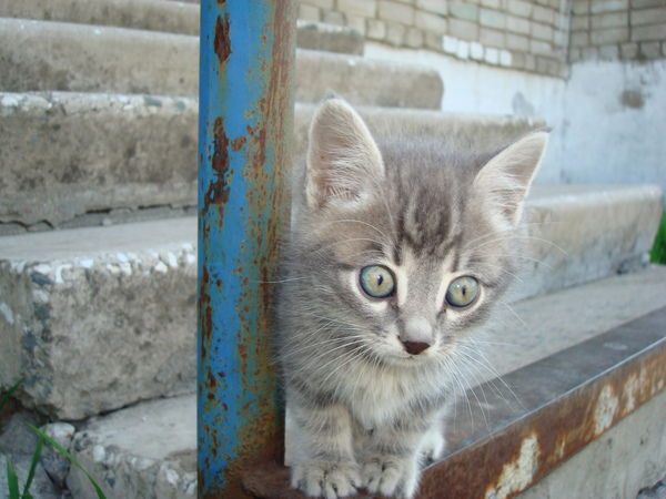 Ирина Галеева