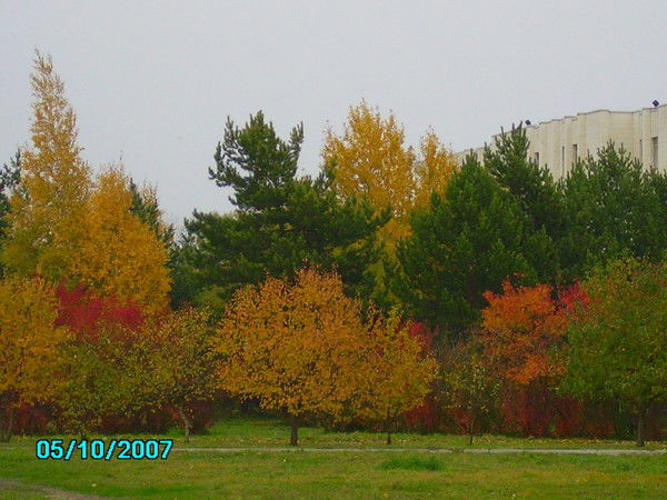 Семья Хохловых