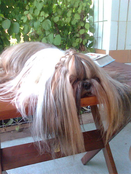 Ольга Седова