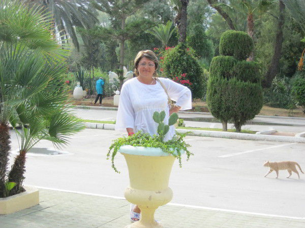 Елена Романова