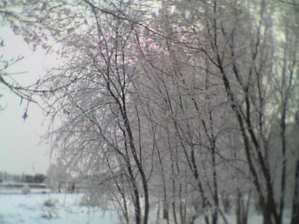 Андрей Карпенко