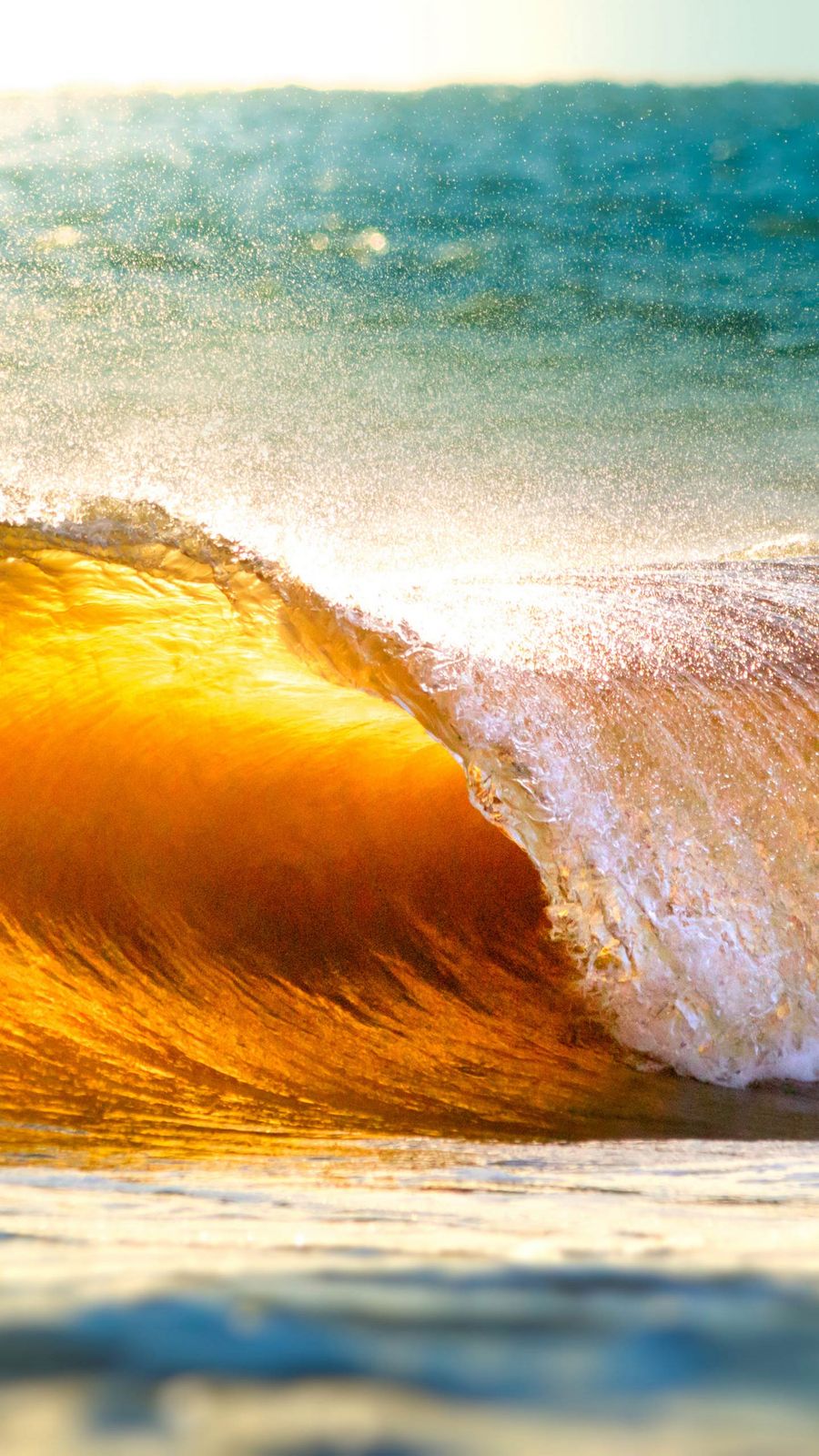 Наташа Мухина