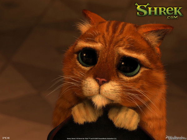 Константин Пенин