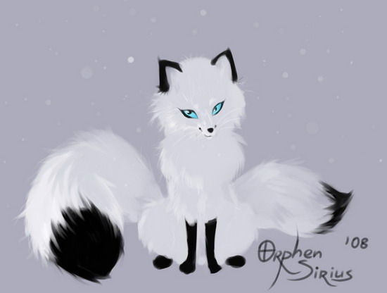 Булгакова Дарья