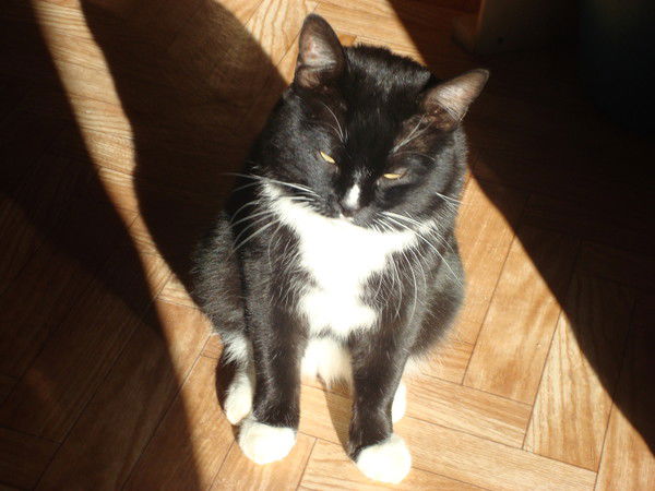 Руслан Никулин