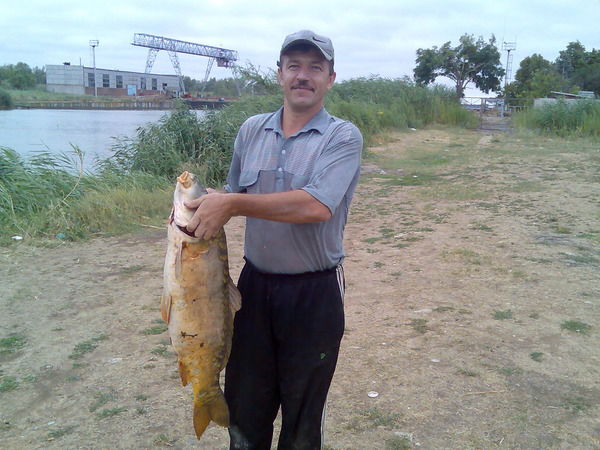 Александр Корсунов