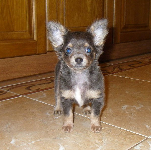 Ирина Ирина