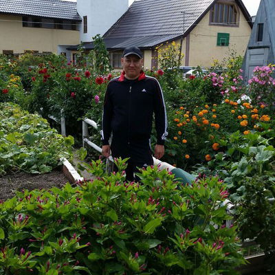 Рустам Рустамов