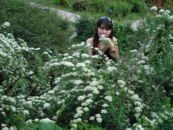 Гаухар Diamond