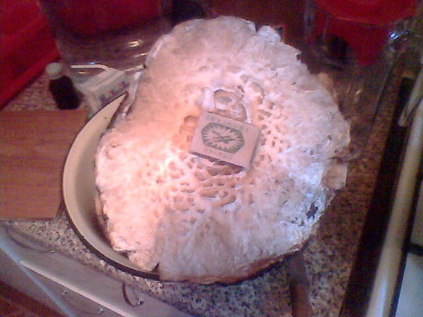 Макс Молодцов