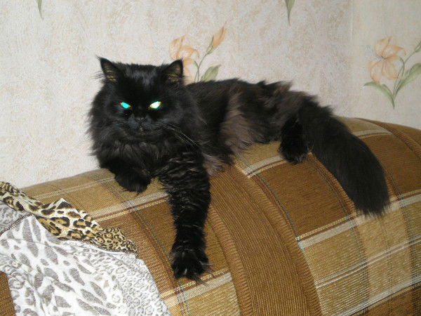 Виктор Иванов