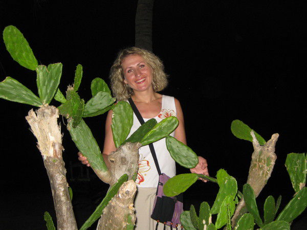 Елена Шаночкина