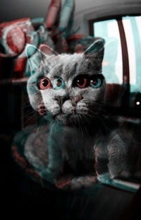 Эмиль Хайруллин