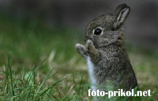 Егор Галайдин