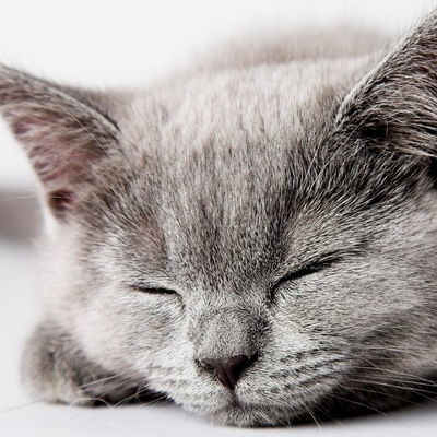 Иоанна Костакова