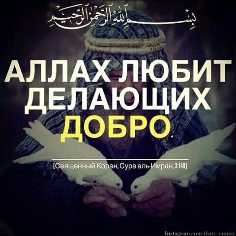 Реимжан Хаттафов