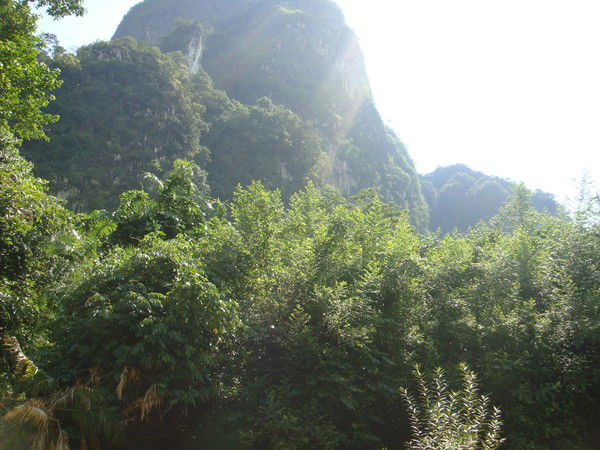 Светлана Шишова