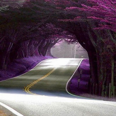 Назрин Гусейнова