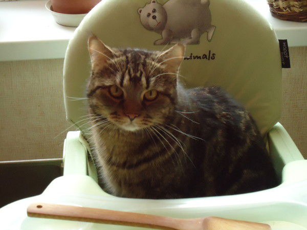 Наталья Книженко