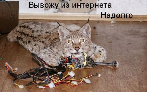 Ольга Тельнова