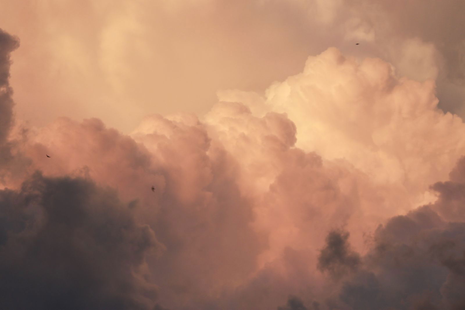 Елизавета Бондарева