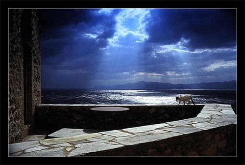 Юлия Шогина