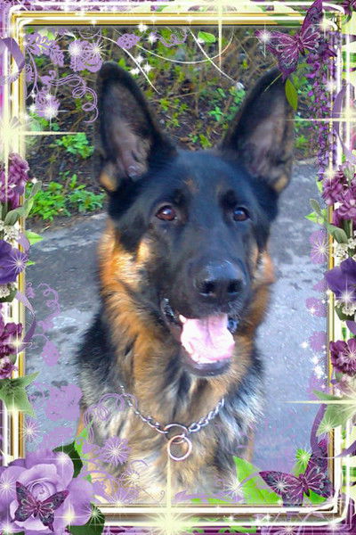 Ирина Королёва