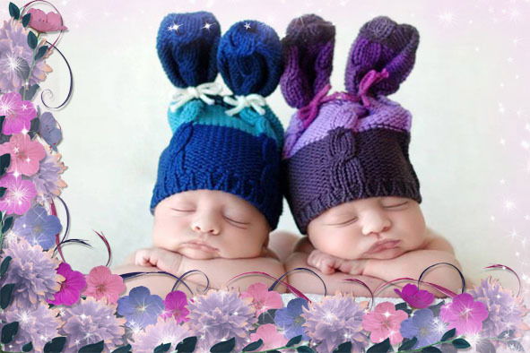 Приют "ласка"