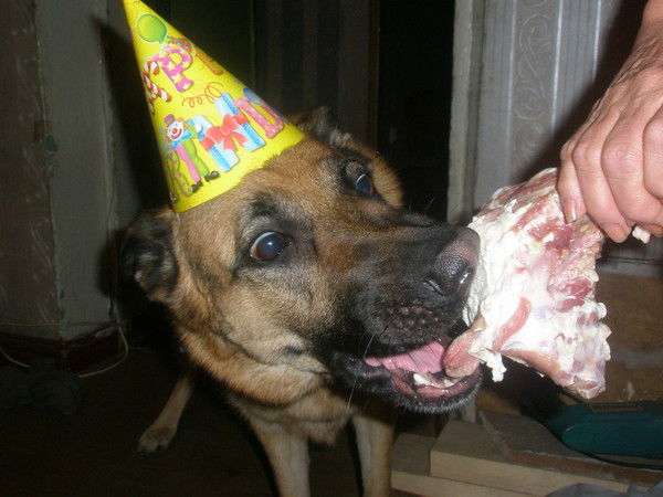 Андрей Воронин