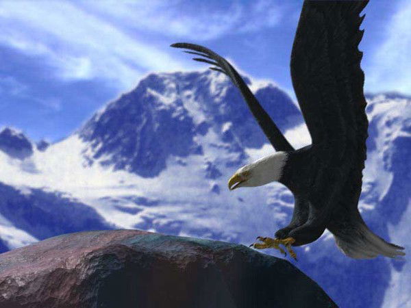 Юра Голощапов