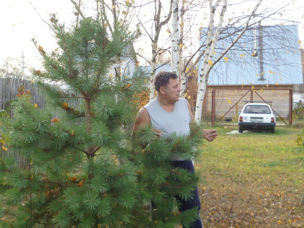 Виктор Орлов