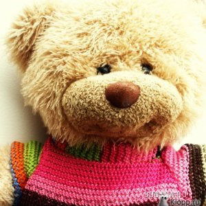 Алёна Онскуль