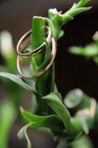 Виталик Мозговой