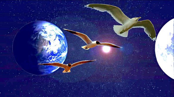 Елена Евстратова