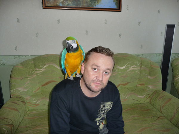 Андрей Грибков